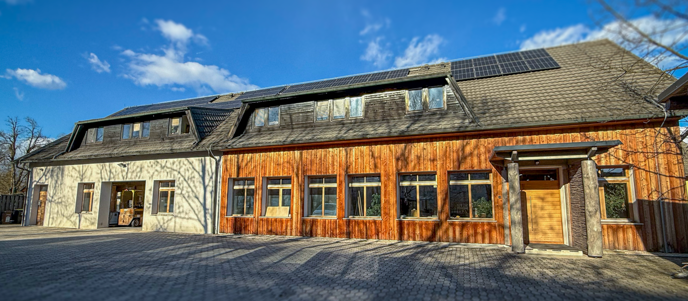 gnezdo2-e1771339532721